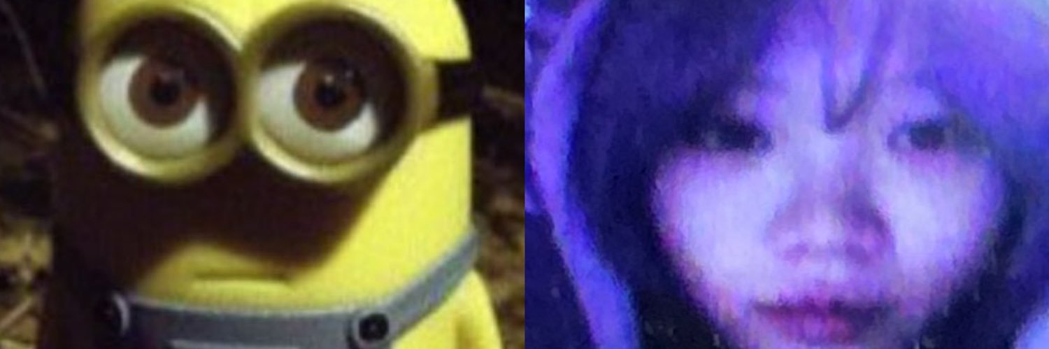 silly girl ✷ˎ-ˊ banner