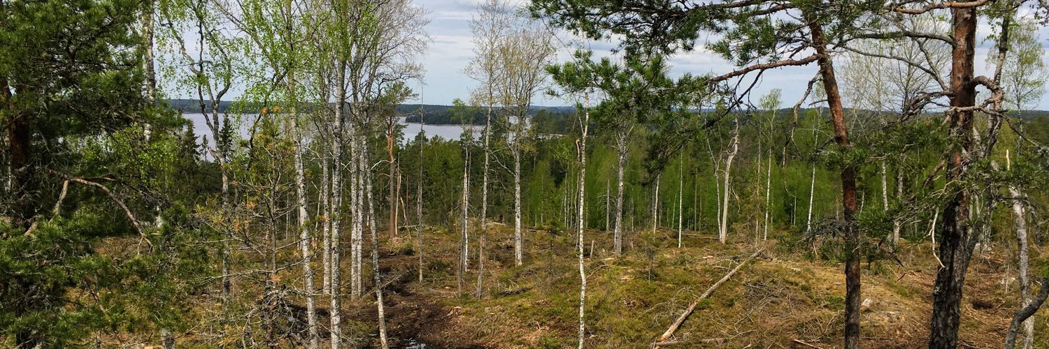 FunPotential, BiodivERsA project banner