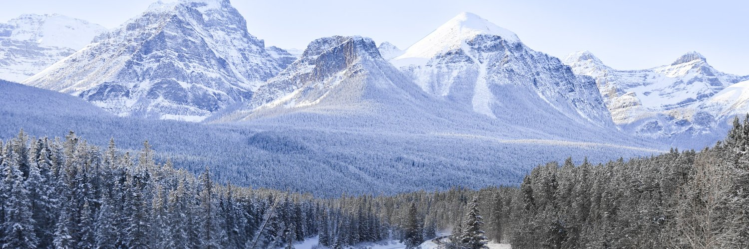 Abdbasit | Webflow Developer banner