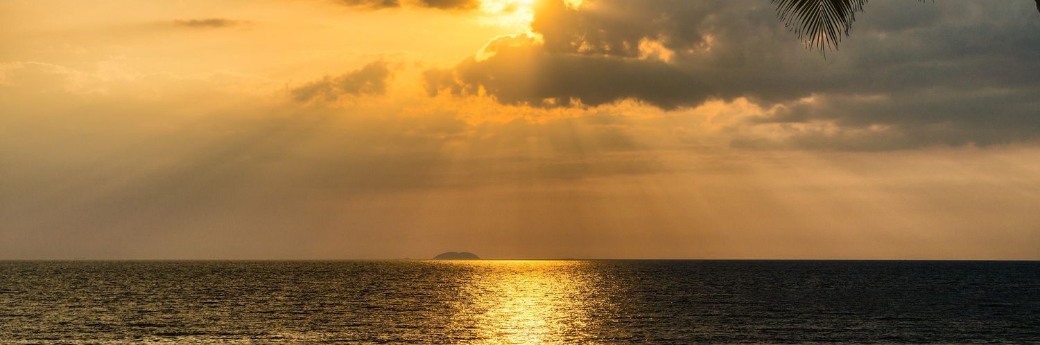 wahmed968's profile banner image