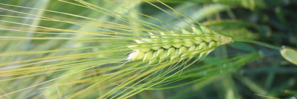 CPNB_Conference Profile Banner