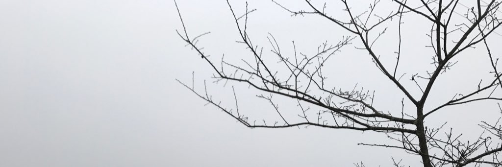 PeterHa7's profile banner image