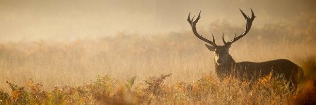 XavDuSol's profile banner image