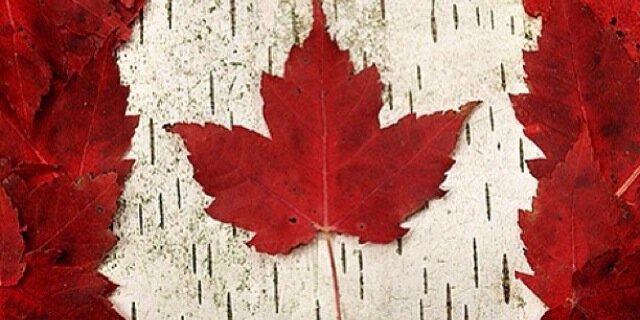 Crysde17's profile banner image