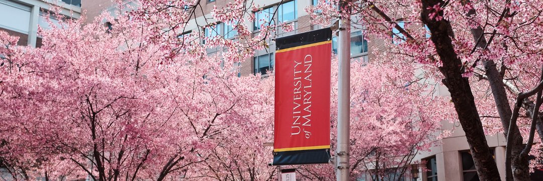 The Deredge Lab banner