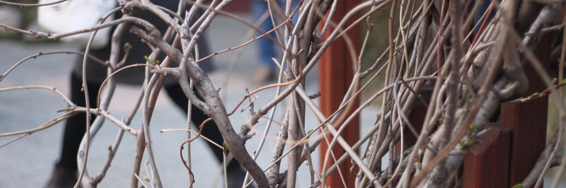 BeldaMervina's profile banner image