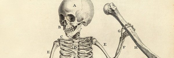 GiblyMd Profile Banner