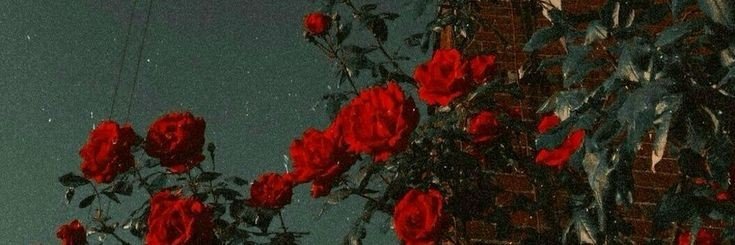 its2rose5's profile banner image