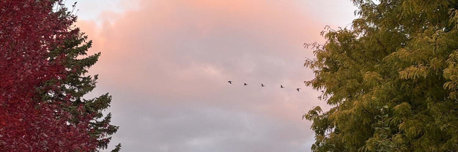 Ghost Of Vincent banner