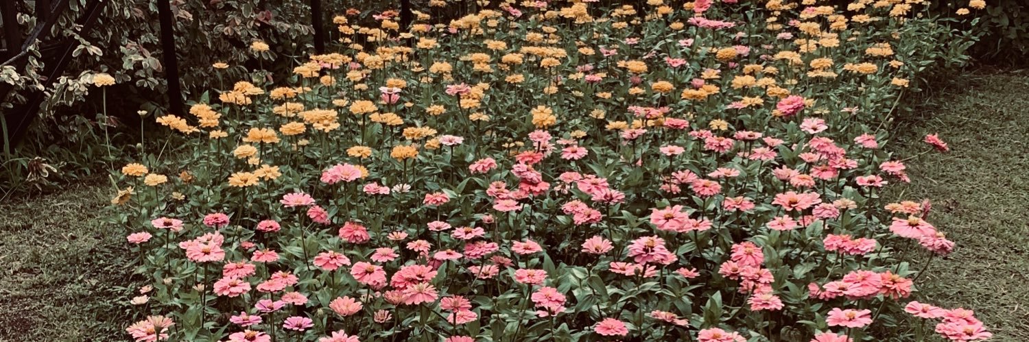 kia ²⁴👩🏻‍🍳 banner