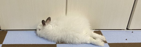 yukimaru_mofu Profile Banner