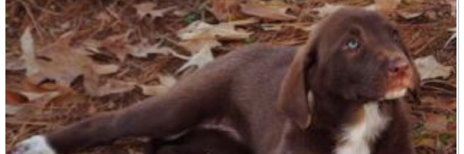 trapper555's profile banner image