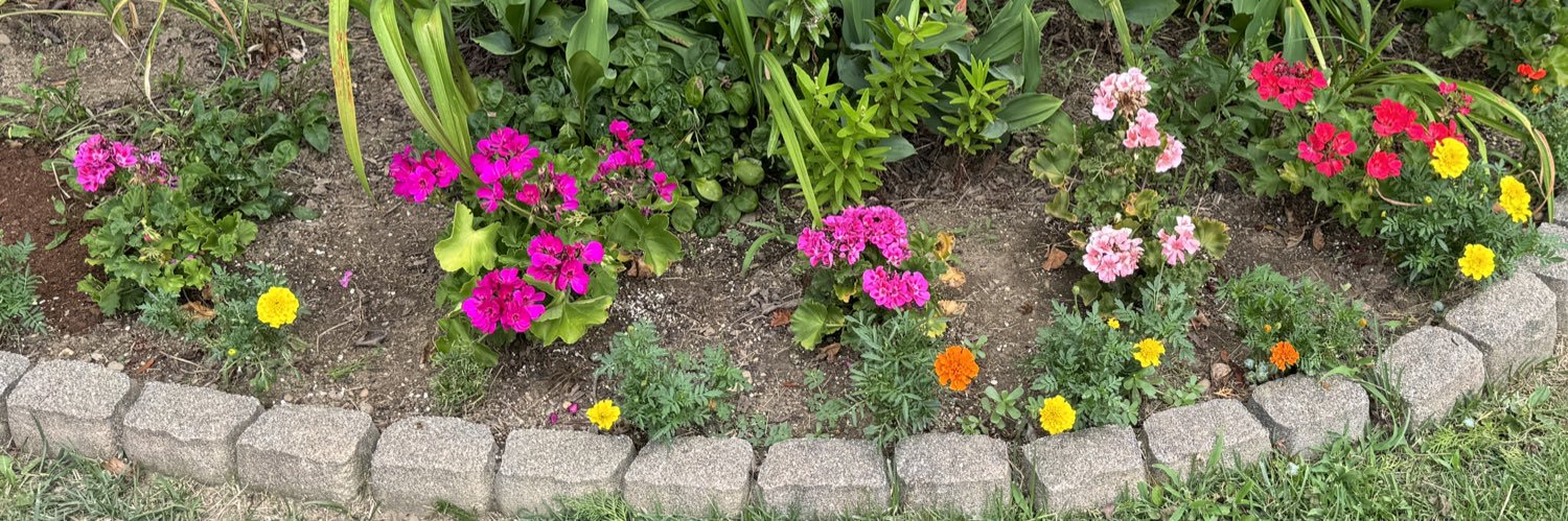 🌱Shadowtail🐿 banner