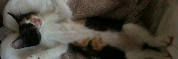 kerasand Profile Banner