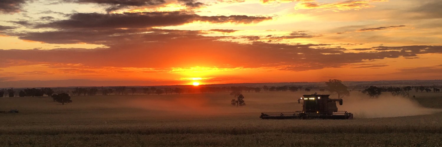 Alexander Ingold banner