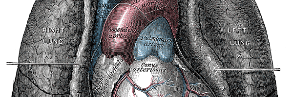 MGLevin Profile Banner