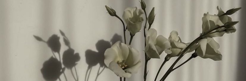 RhnStore's profile banner image