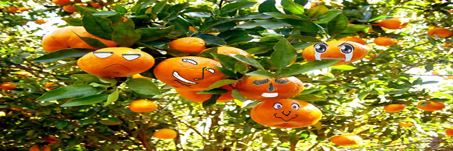 _Tuxo's profile banner image