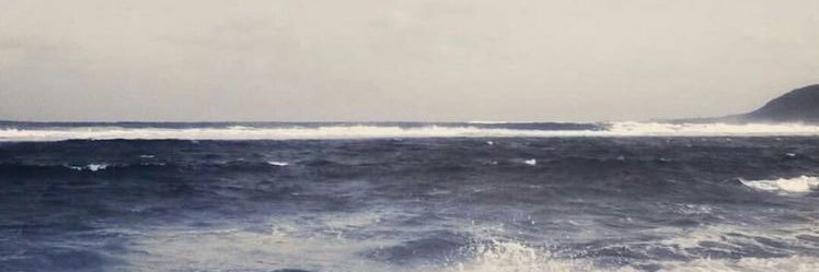 flowerlists's profile banner image