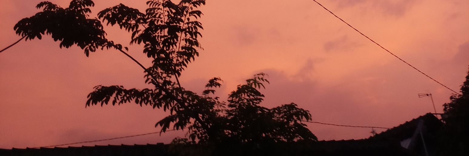 tiafridda's profile banner image