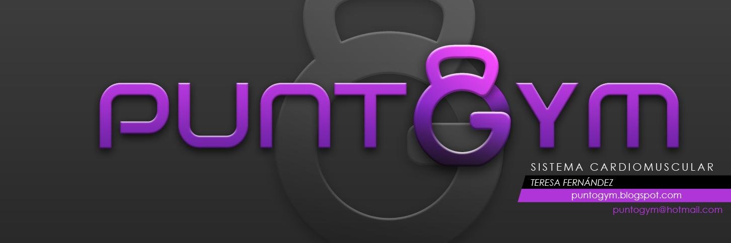 PuntoGYM's profile banner image
