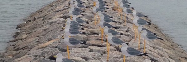 pisa4 Profile Banner