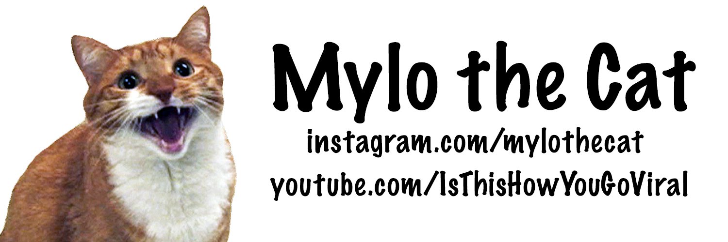 Mylo the Cat banner