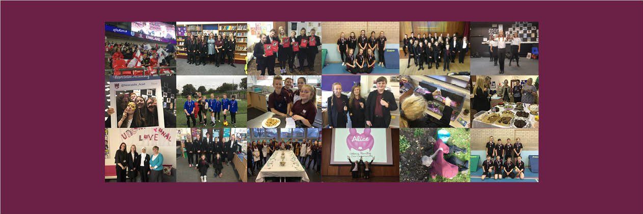 Newcastle Academy banner