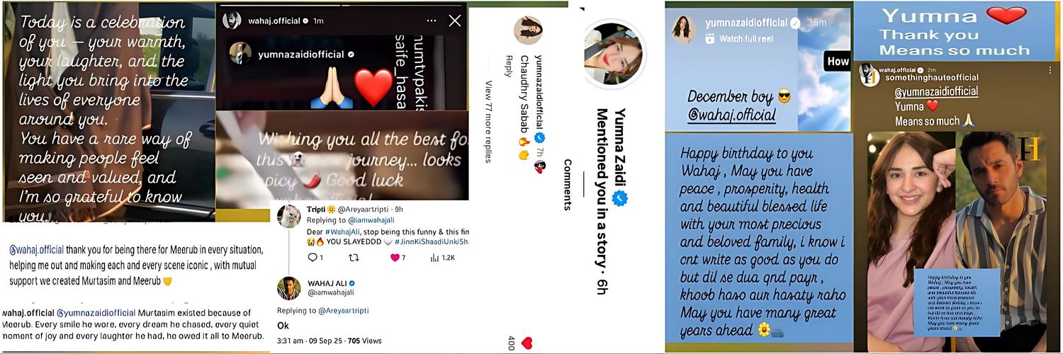 𝐓𝐫𝐢𝐩𝐭𝐢 🥔🌼🌶️🫂 banner