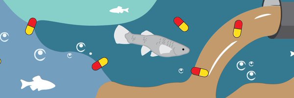 ShihoOzeki Profile Banner