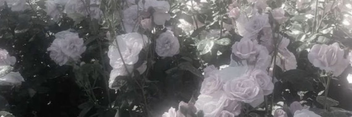 S__rhw__C's profile banner image