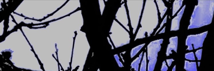 Radi05tar's profile banner image