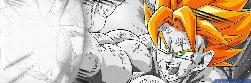 M D S banner