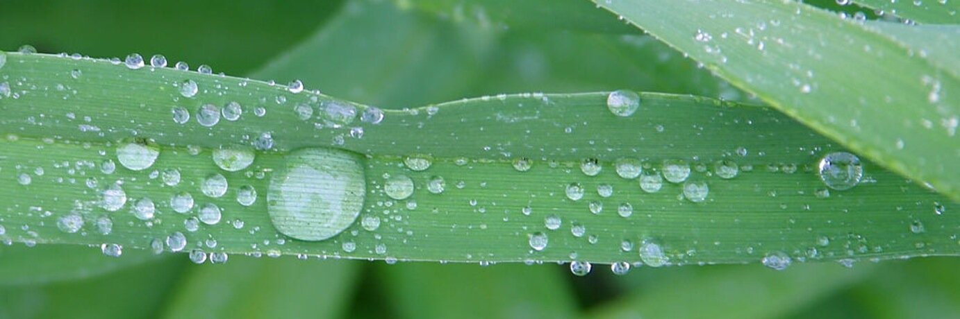 LyricsMaster's profile banner image