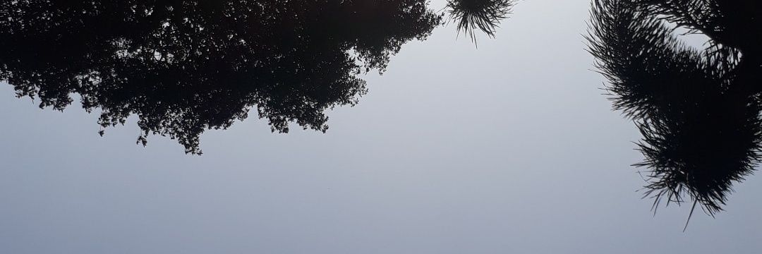 hallowinn__'s profile banner image