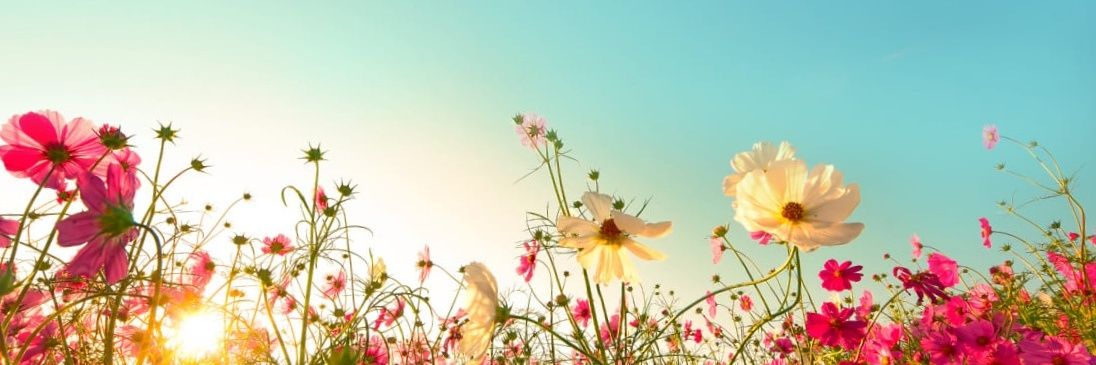 Ticky07446360's profile banner image