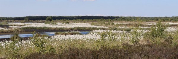 humberhead Profile Banner