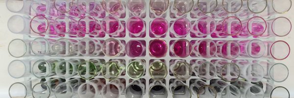 RubiaYano Profile Banner