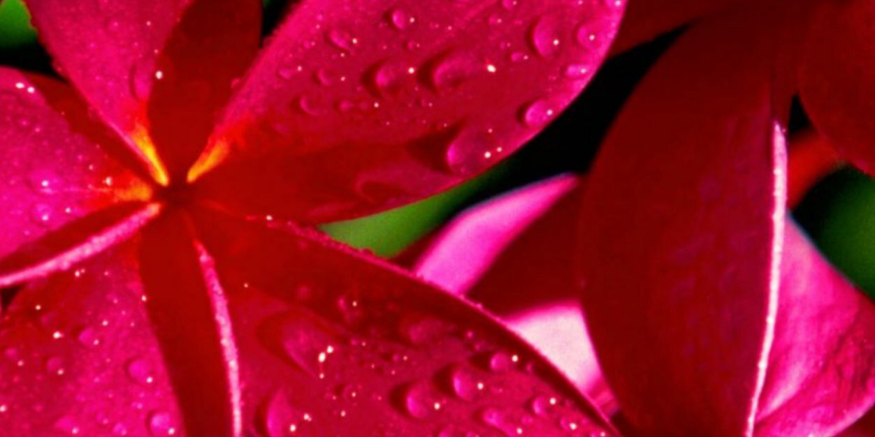 CNMorris's profile banner image