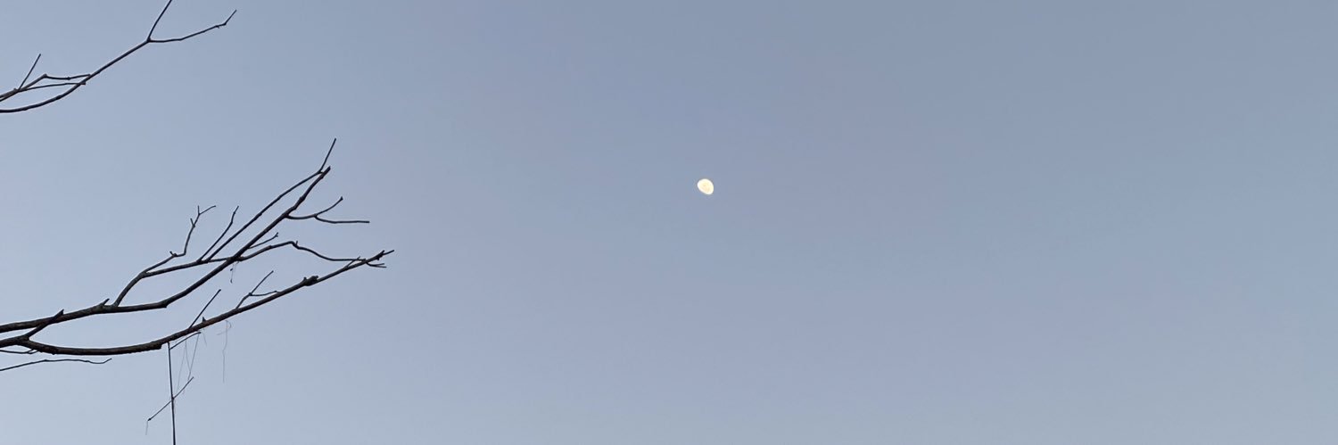 eupboldrin's profile banner image