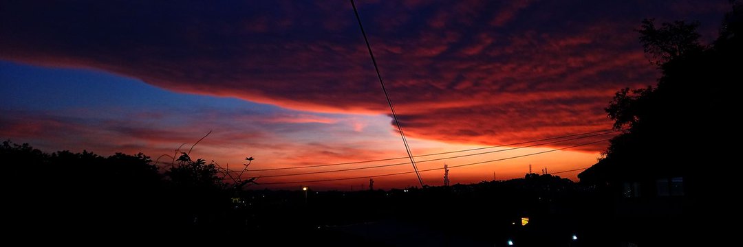 バガス 🍉 banner