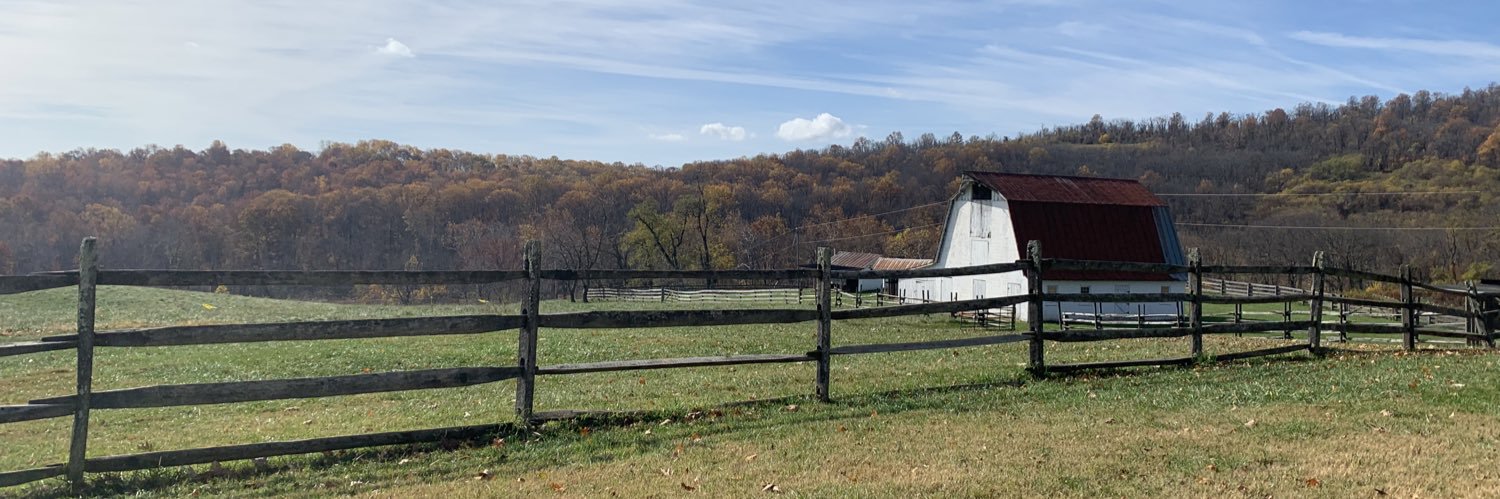 Mary Rafferty banner