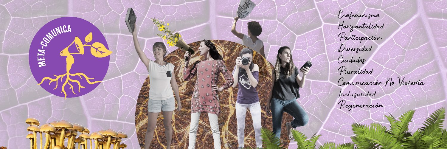 Meta-Comunica banner