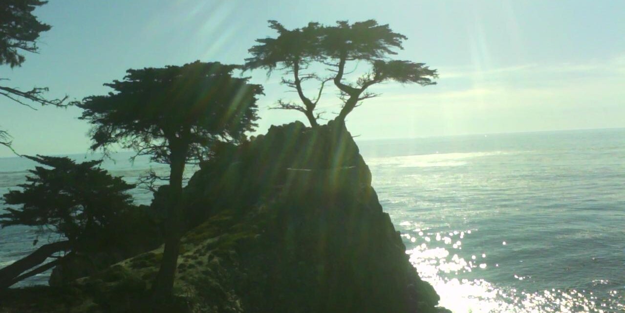 jaydbaby206's profile banner image
