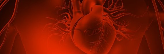 Danish Cardiovascular Academy's banner
