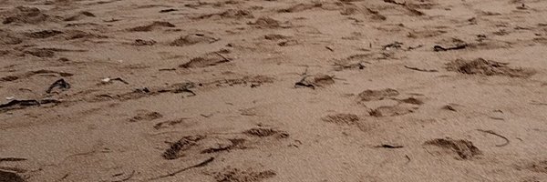 Suwitraboy Profile Banner