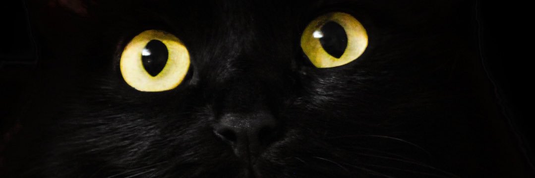 sweedebn's profile banner image