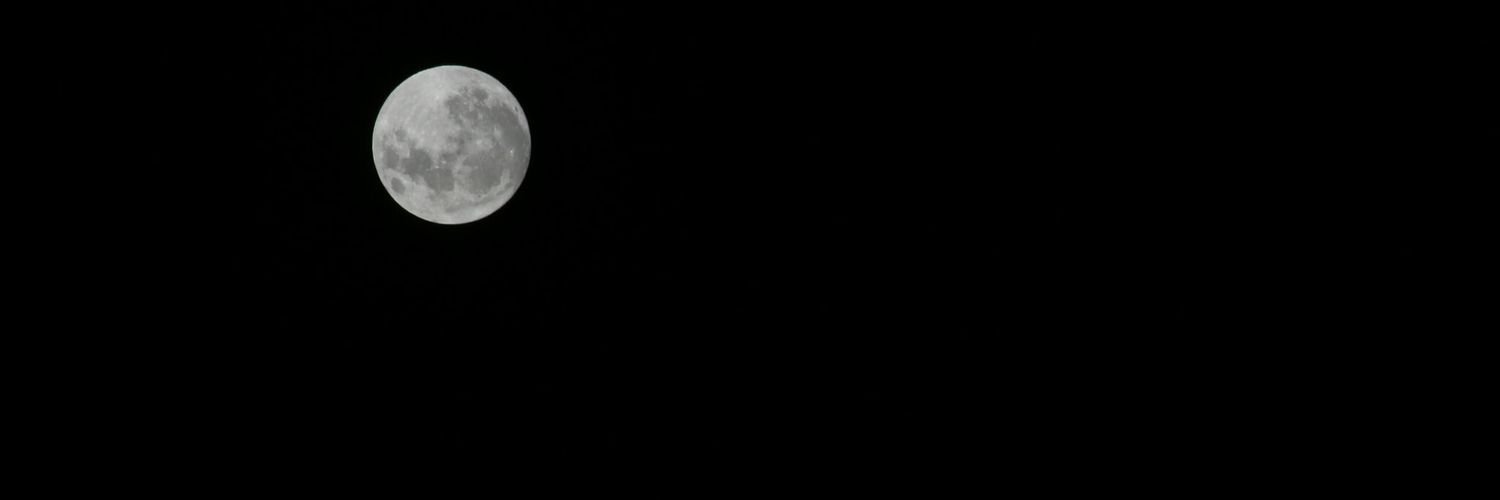 nicoferraro's profile banner image
