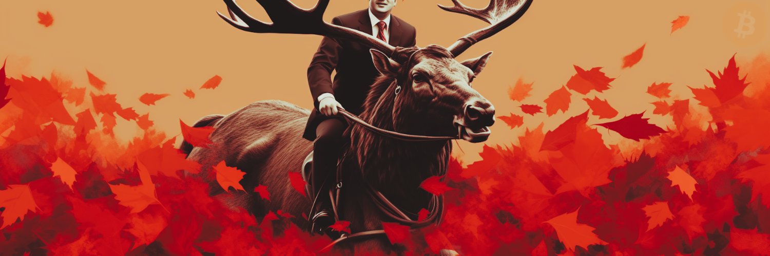 NiFTy 🇨🇦 banner