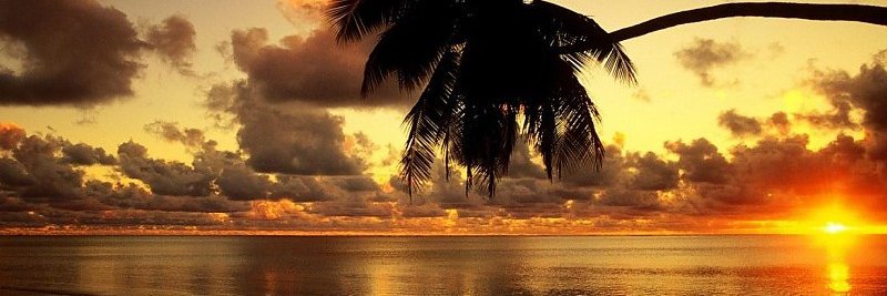 rajeshgwl's profile banner image